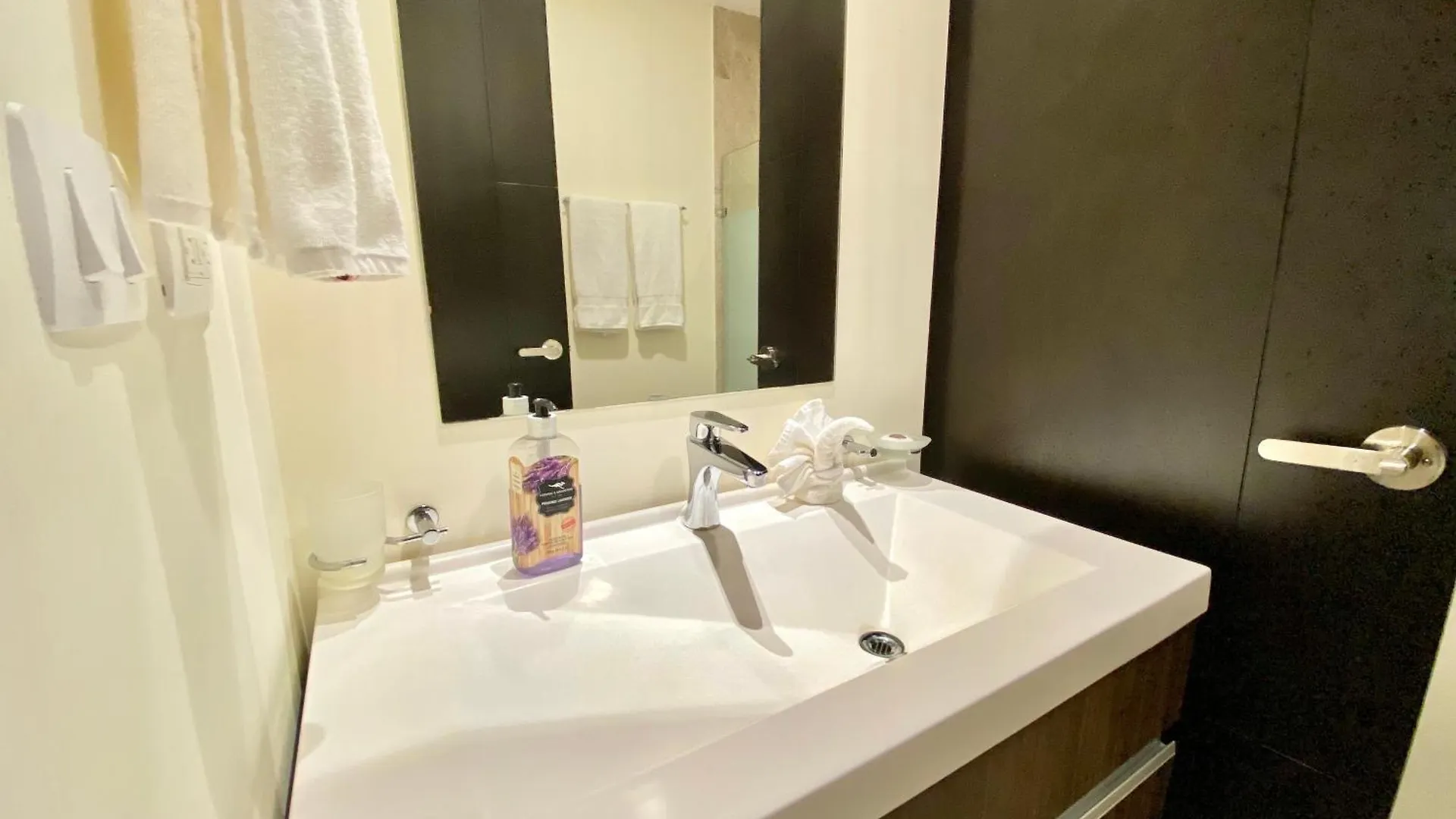 Awesome 1B Condo Downtown With 350Mg Wifi Playa del Carmen Daire